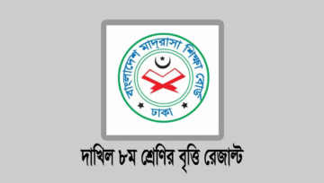 দাখিল ৮ম শ্রেণির জুনিয়র বৃত্তি রেজাল্ট ২০২৫ দেখার নিয়ম